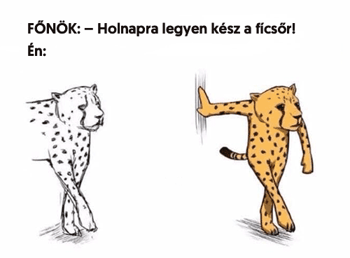 Holnapra legyen kész!